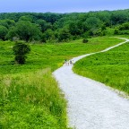 Biking and Picnic at Blackwell Forest Preserve